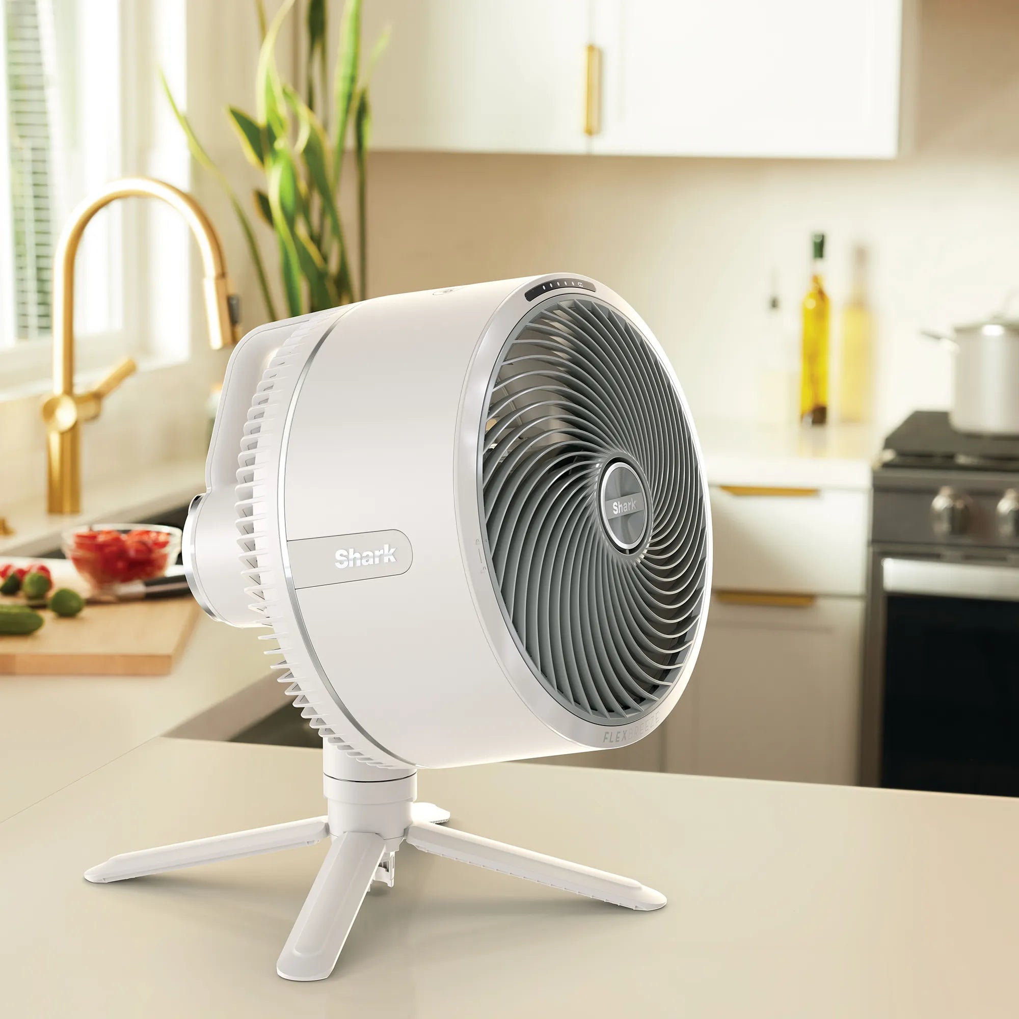 Ninja FlexBreeze Fan With Misting Attachment