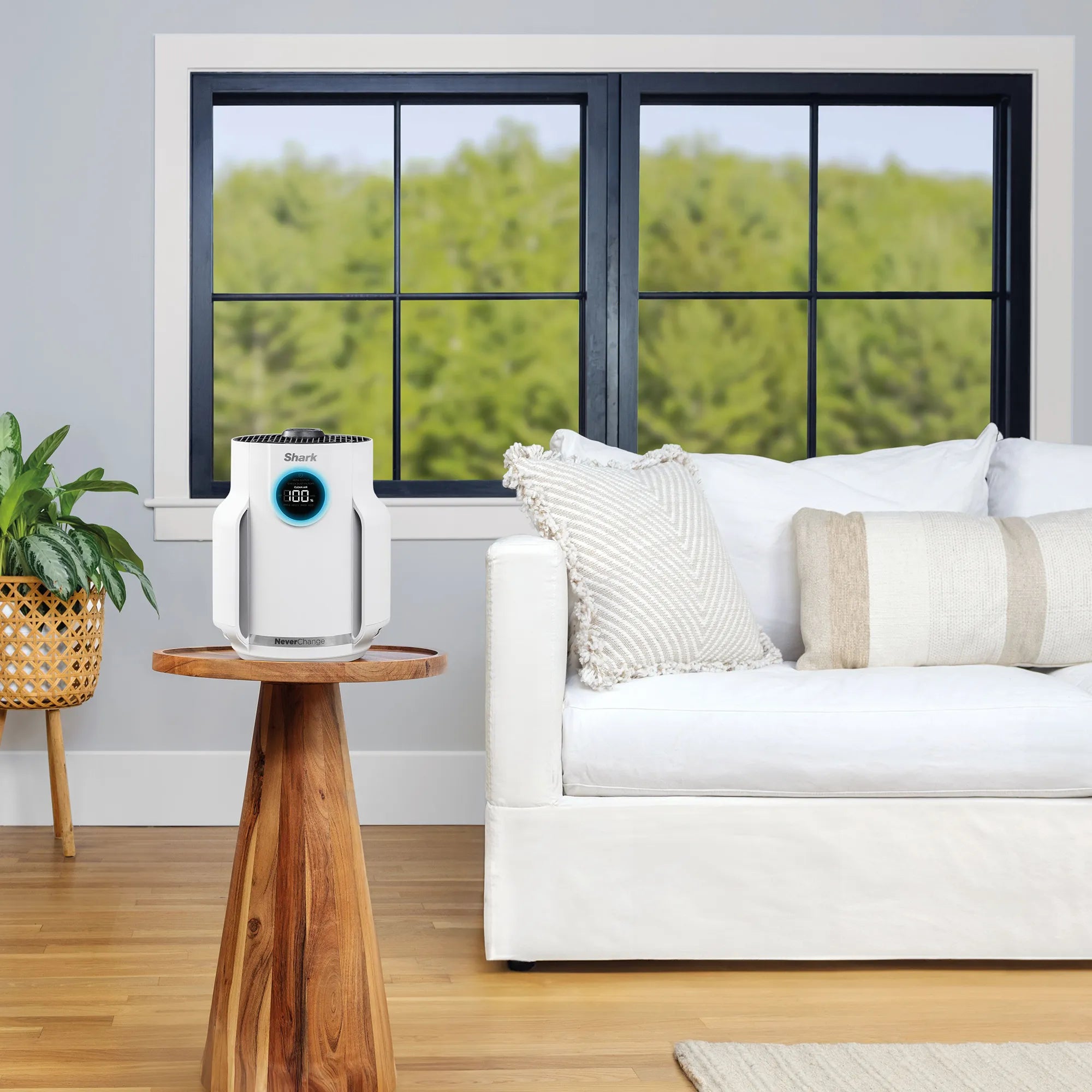 Ninja NeverChange Air Purifier Compact Pro