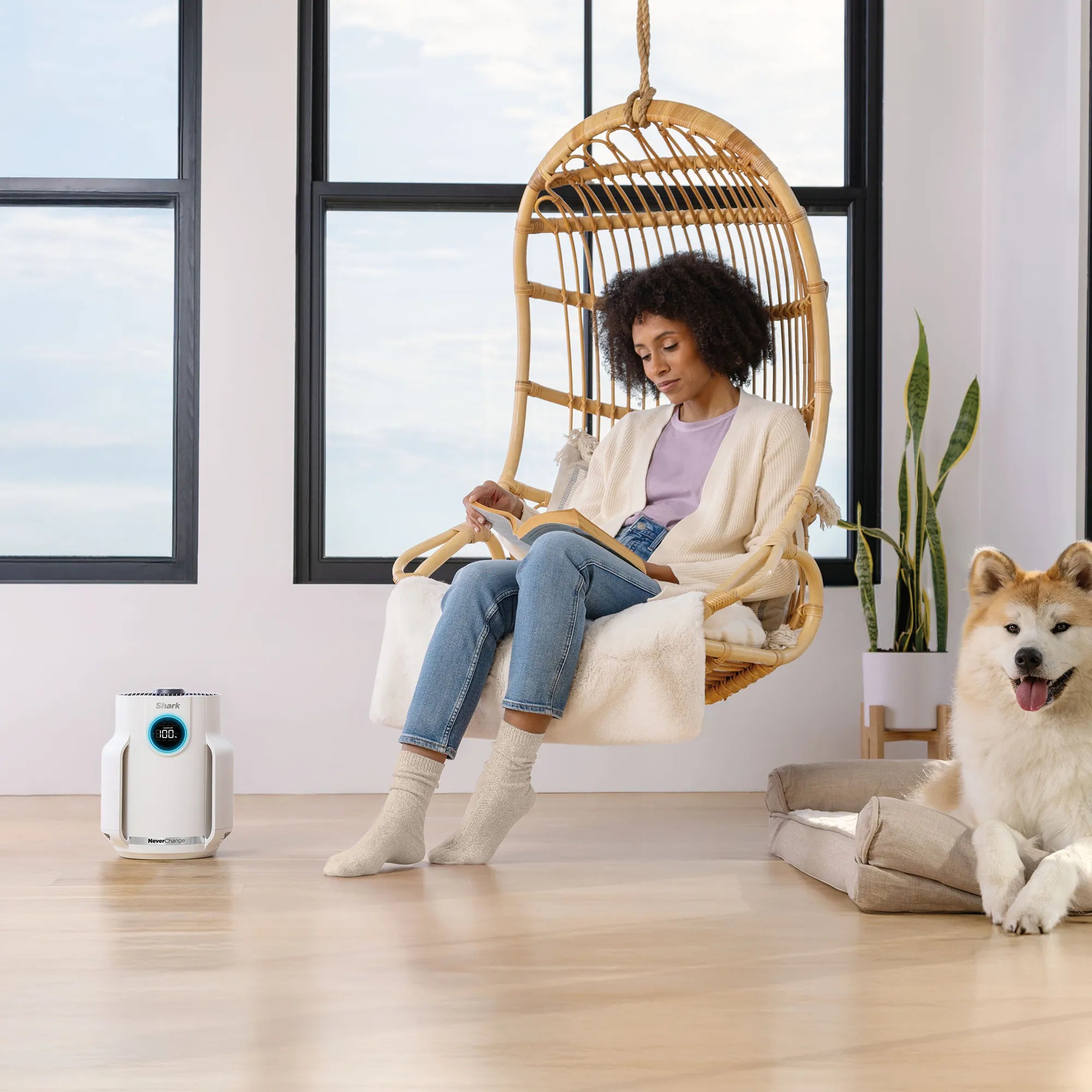 Ninja NeverChange Air Purifier Compact Pro