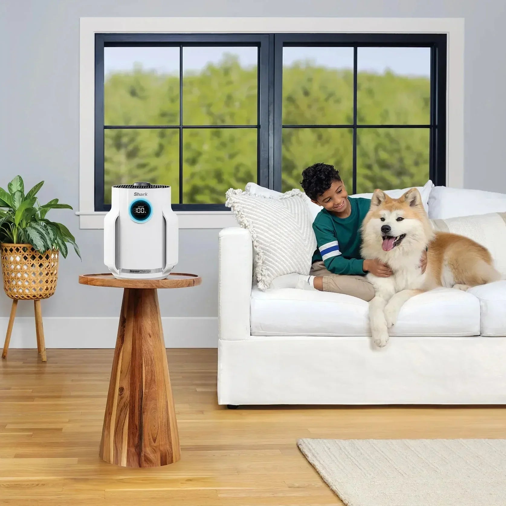 Ninja NeverChange Air Purifier Compact Pro