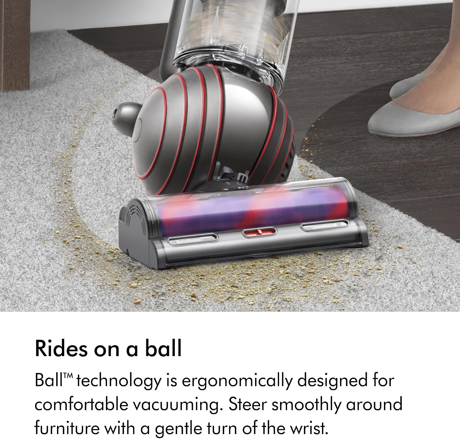 Dyson Ball™ Animal Origin Vacuum Cleaner, hair de-tangling, deep cleaning with pets (Nickel/Silver)