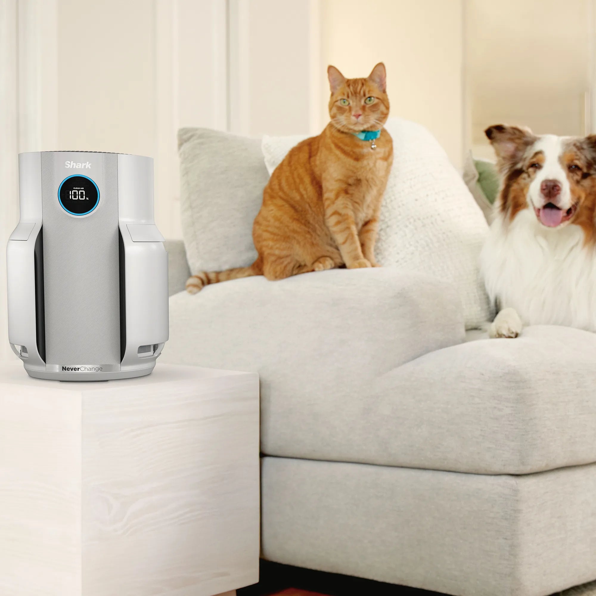Ninja NeverChange5 Air Purifier