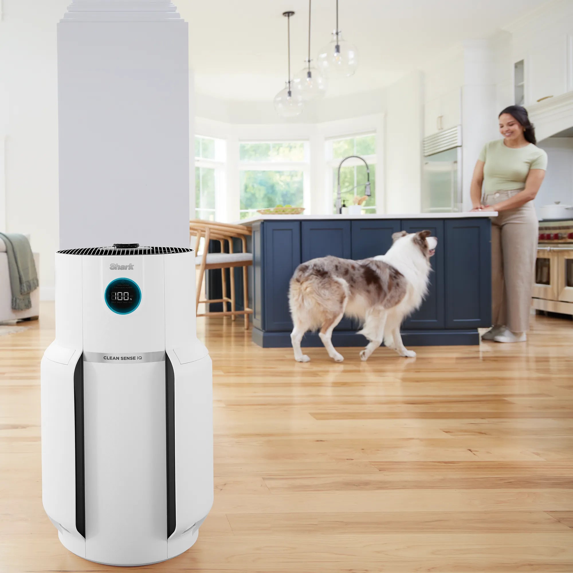 Ninja NeverChange5 Air Purifier Max