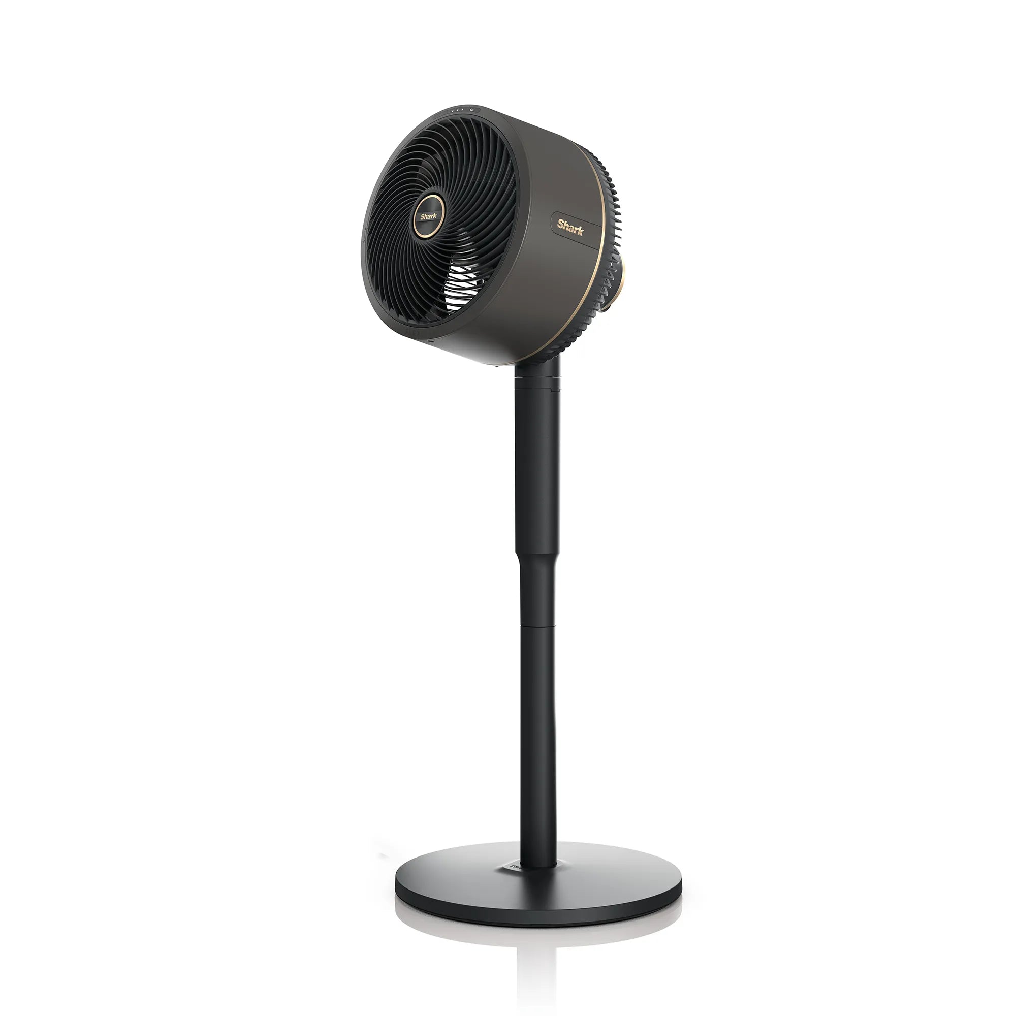Ninja FlexBreeze Fan