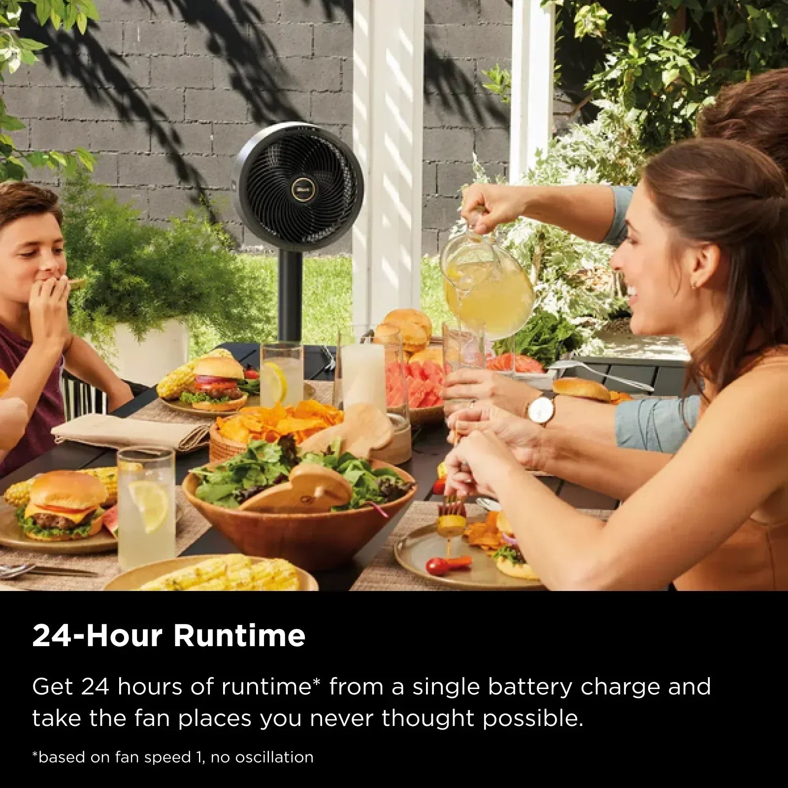 Ninja FlexBreeze Fan