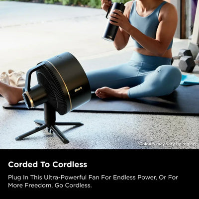 Ninja FlexBreeze Fan