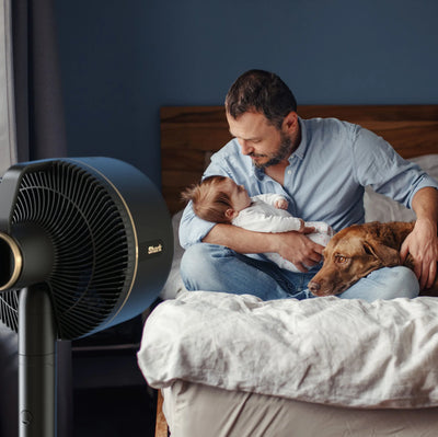 Ninja FlexBreeze Fan