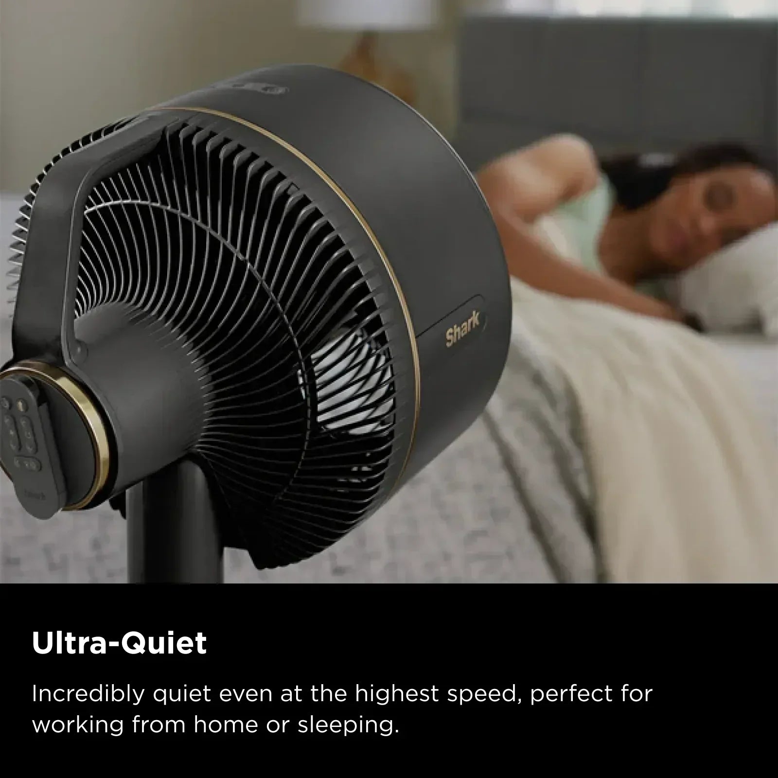 Ninja FlexBreeze Fan
