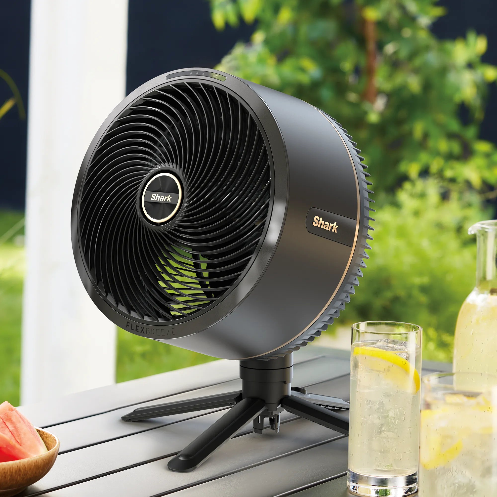 Ninja FlexBreeze Fan