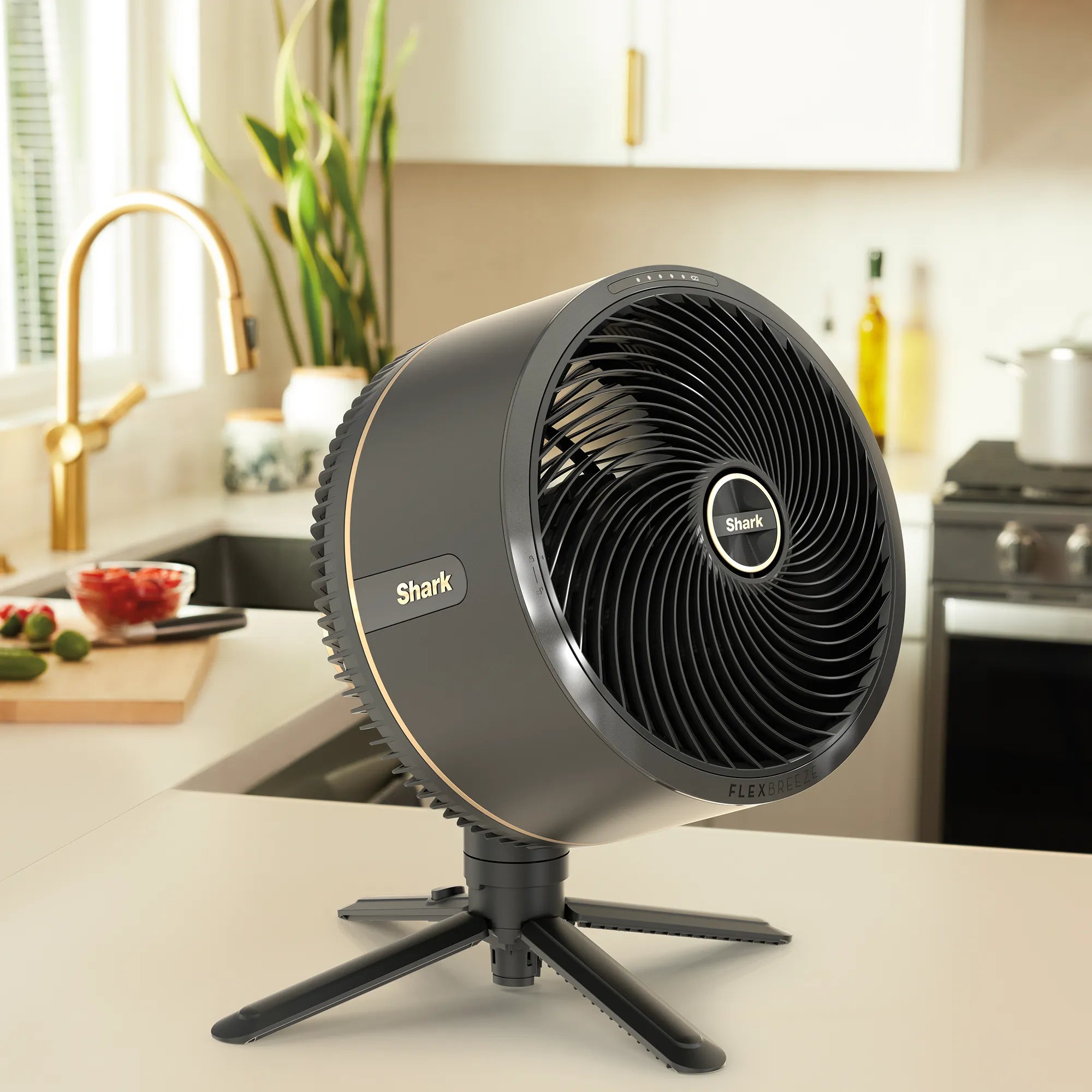 Ninja FlexBreeze Fan With Misting Attachment