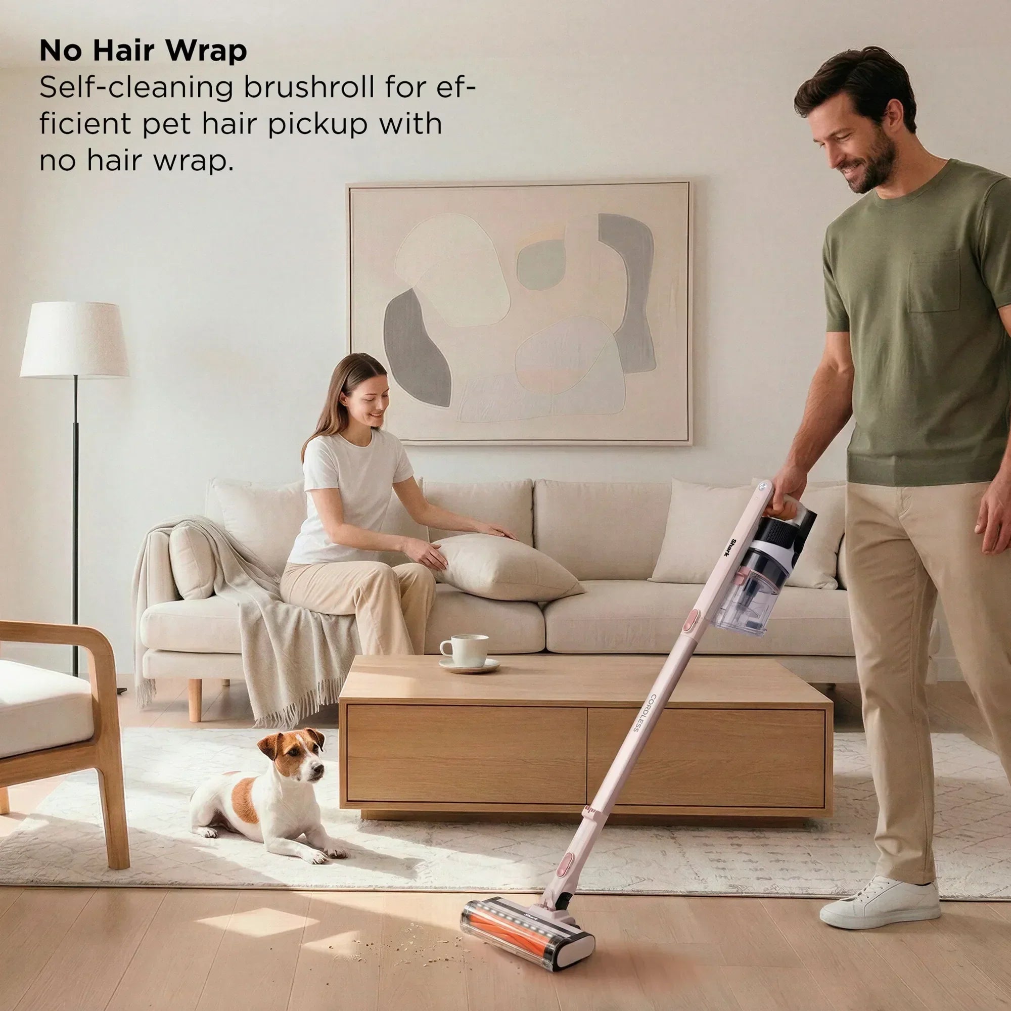 Shark Power Cordless